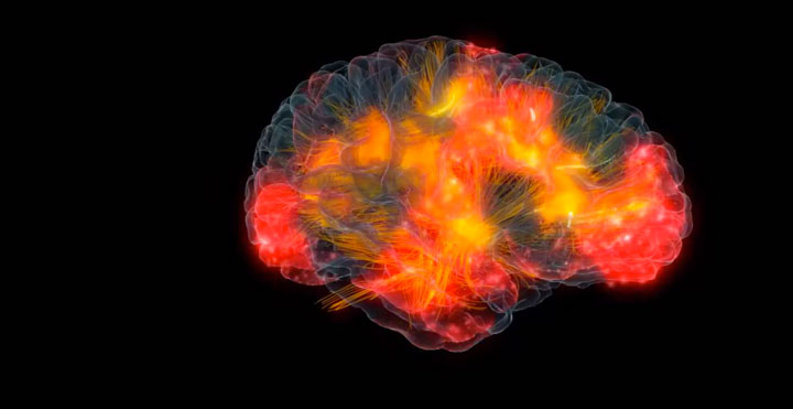 brain_model_neuron_activity